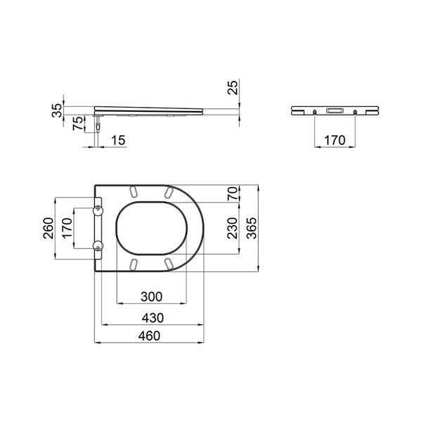 Сиденье для унитаза Qtap (Swan, Jay) с микролифтом Slim QT1699SC5176W SD00038757 фото